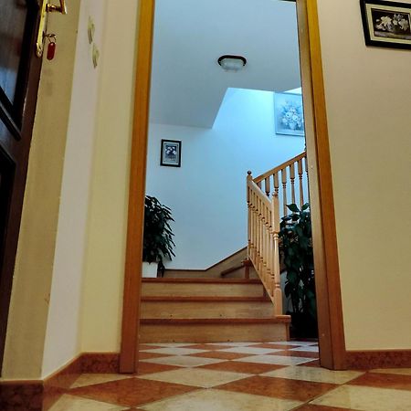 זאדאר Apartment Peric מראה חיצוני תמונה